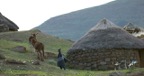 Location Shoot - Lesotho  8921