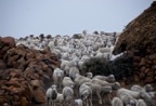 Location Shoot - Lesotho  8933