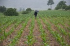 Location Shoot - Lesotho  8966