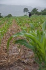 Location Shoot - Lesotho  8969