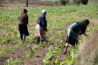Location Shoot - Lesotho  8972