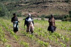 Location Shoot - Lesotho  8974