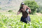 Location Shoot - Lesotho  8982