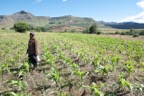 Location Shoot - Lesotho  8981