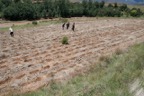 Location Shoot - Lesotho  8995