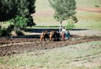 Location Shoot - Lesotho  9002