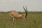 AIM Kenya 2  7080