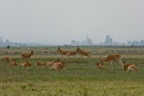 AIM Kenya 2  7088