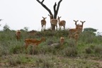 AIM Kenya 2  7125