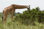 AIM Kenya 2  7140