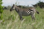 AIM Kenya 2  7152